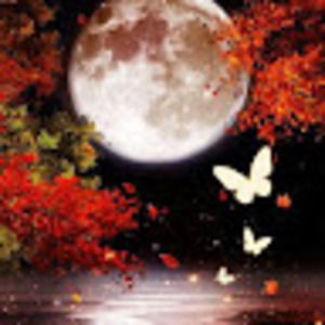 Meet your Posher, Eileen